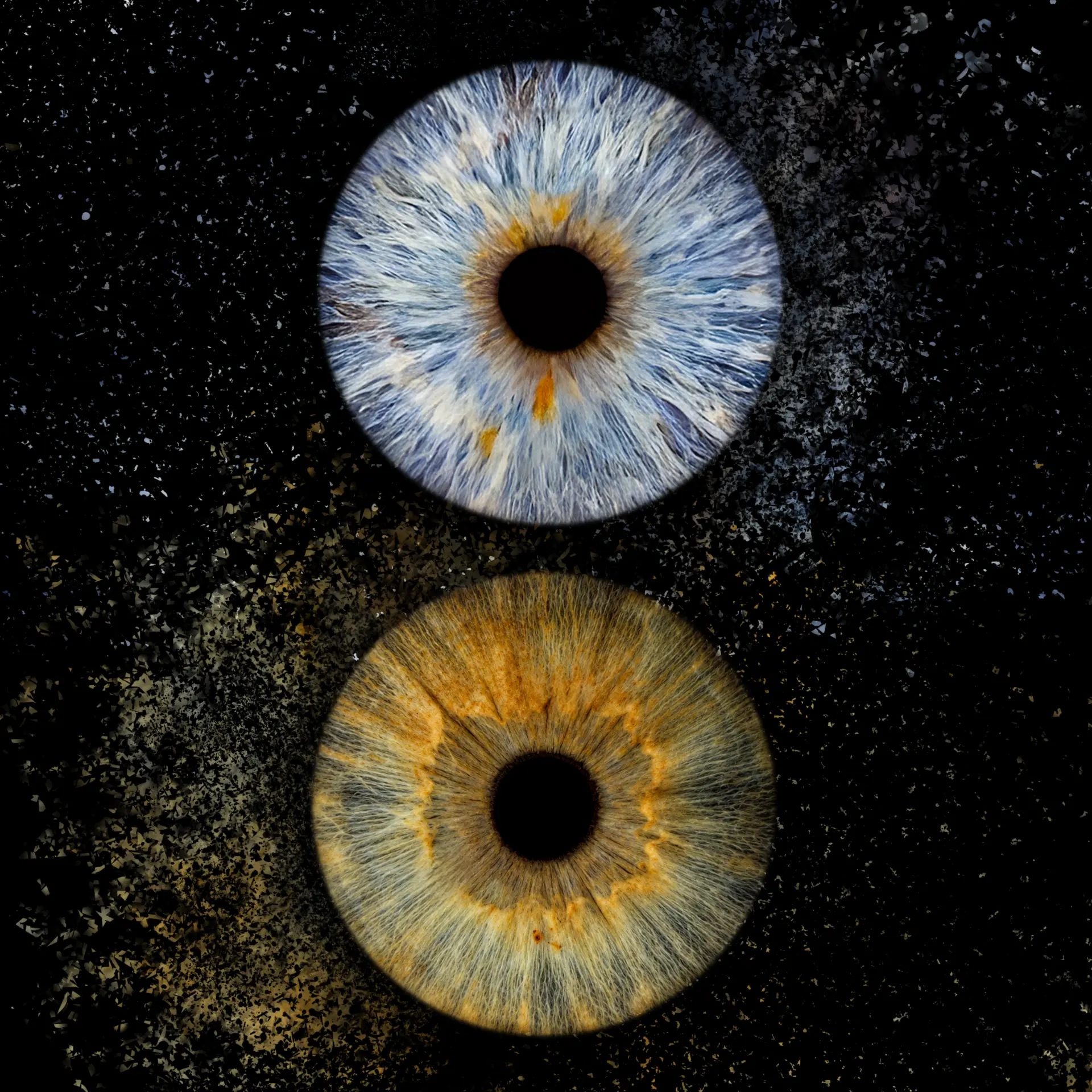 Two irises in a cosmic explosion