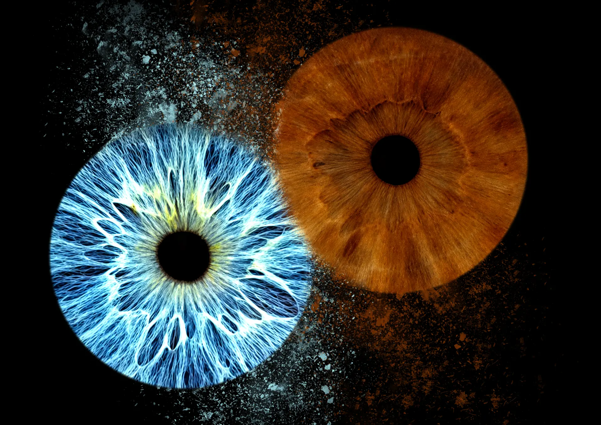 Blue and amber iris artwork