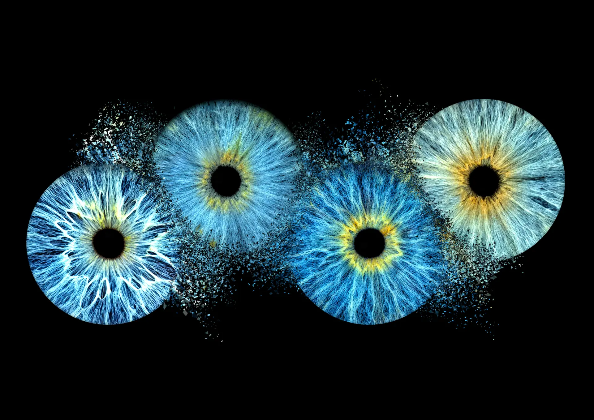 Four blue irises collision artwork