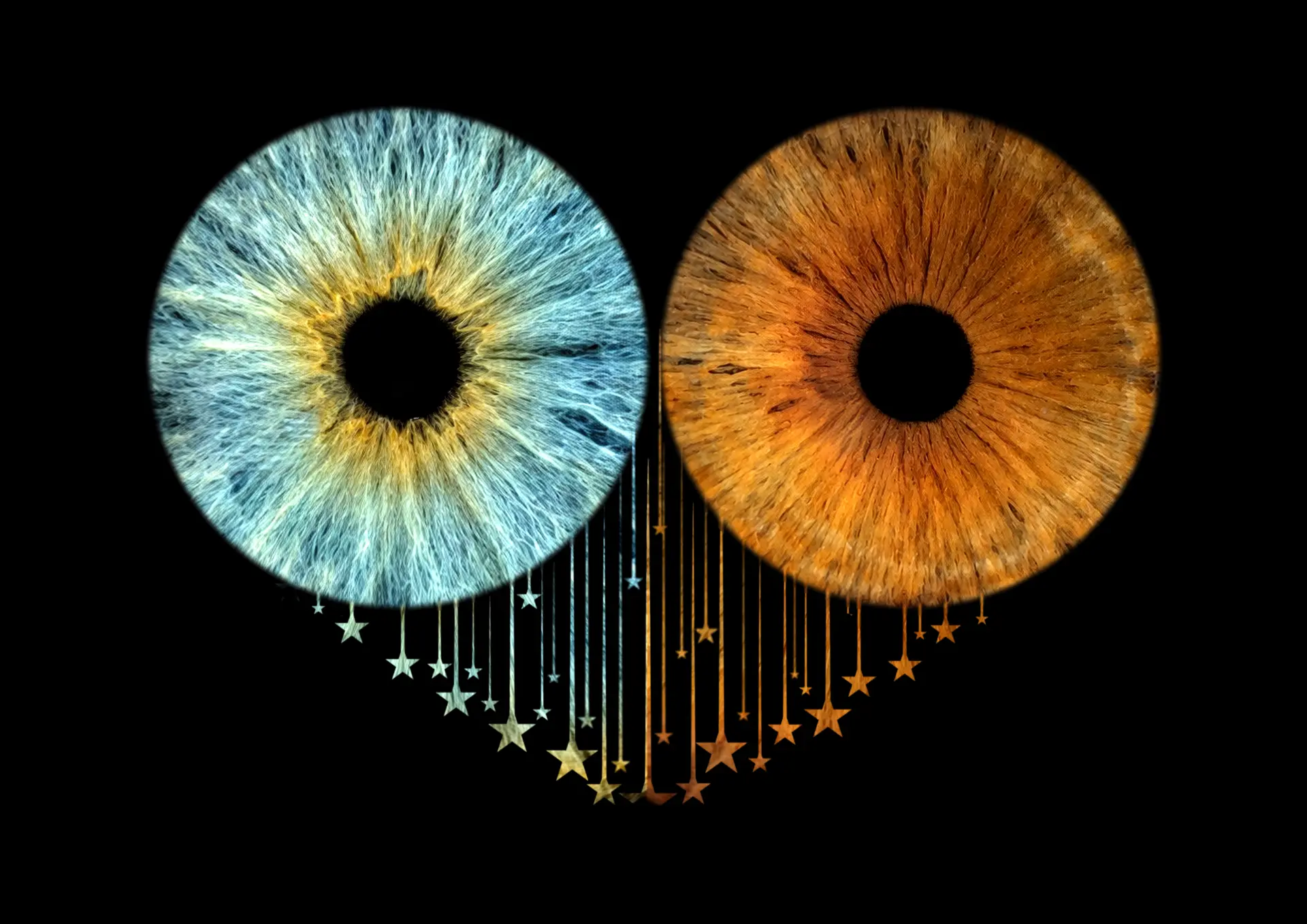 Two irises with falling stars forming a heart