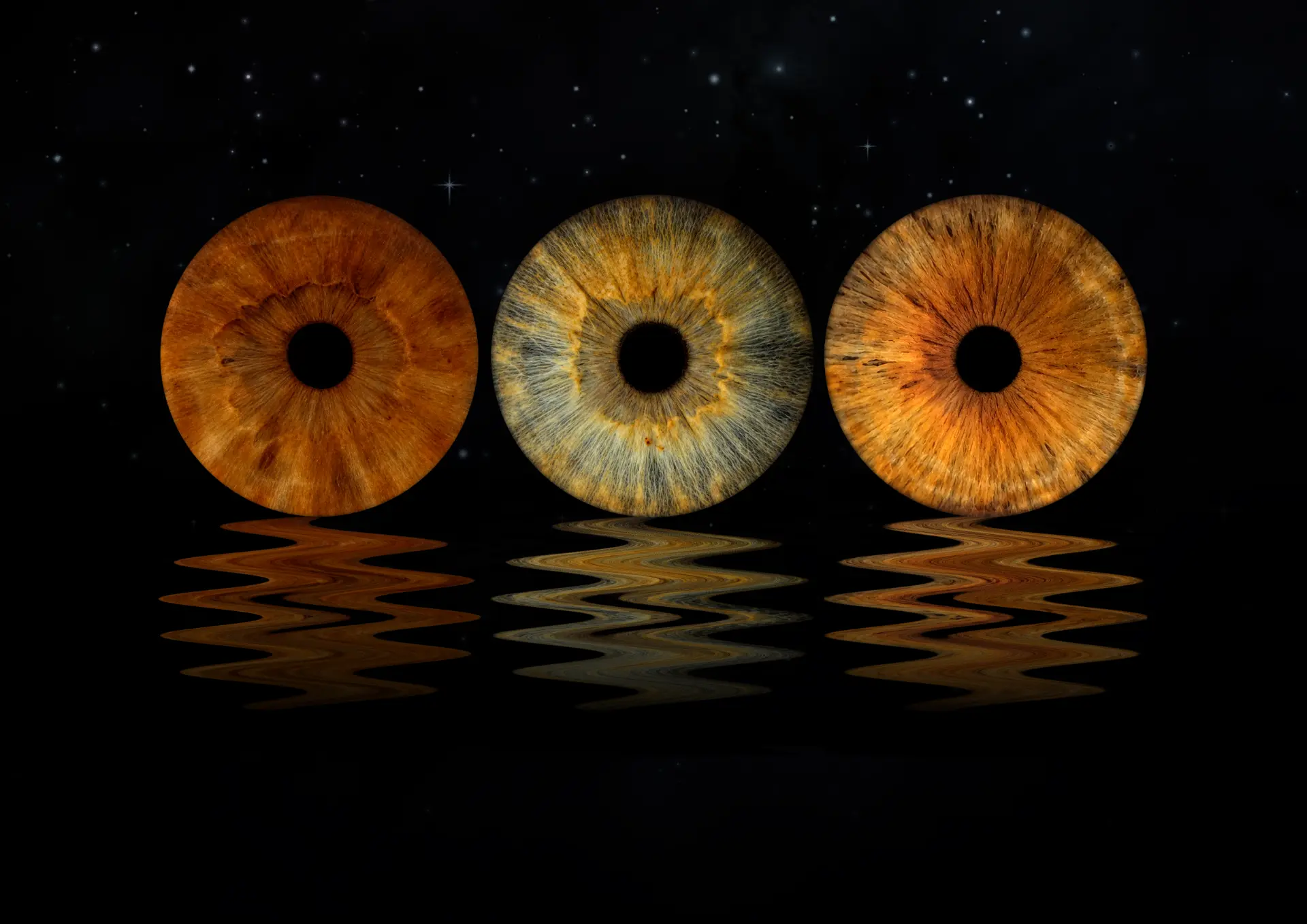 Three amber irises reflected on starry water