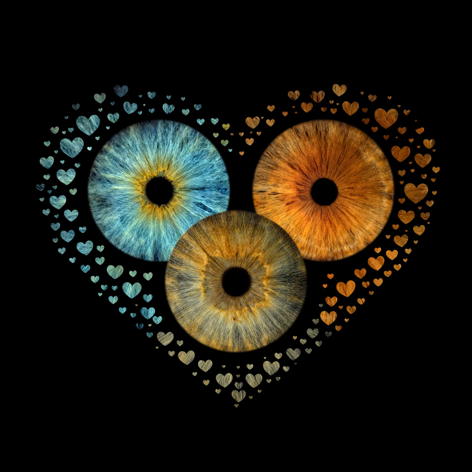 Three irises framed by a heart of small hearts