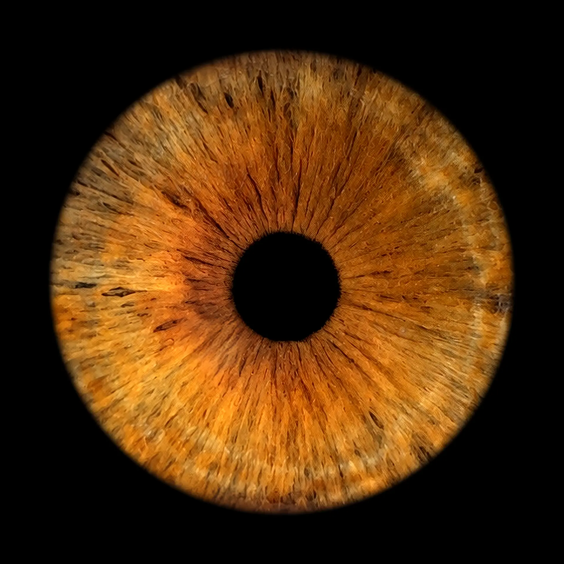 Warm amber iris portrait artwork